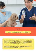 リデンタオーラルケアジェル（歯周病ケア）　クランベリー味 90ml