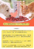 リデンタオーラルケアジェル（歯周病ケア）　クランベリー味 90ml